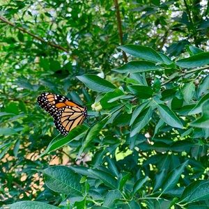 PRICES AREN’T FIRM!! Make me an offer!